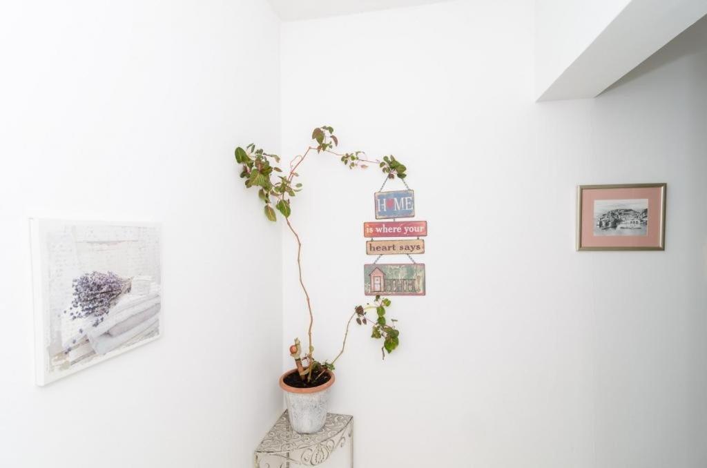 Ivo Guest House Dubrovnik Ngoại thất bức ảnh